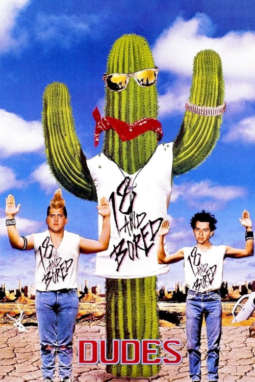Dudes poster